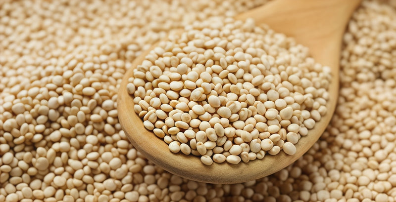 Quinoa